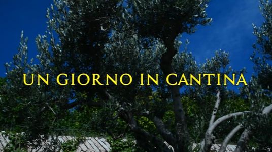 Un giorno in Cantina